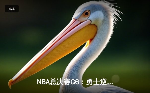 NBA总决赛G6：勇士逆转凯尔特人夺总冠军，库里荣膺FMVP - 4