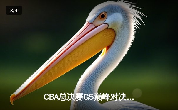 CBA总决赛G5巅峰对决：辽宁本钢加时险胜广东宏远 赵继伟30分加冕FMVP - 3